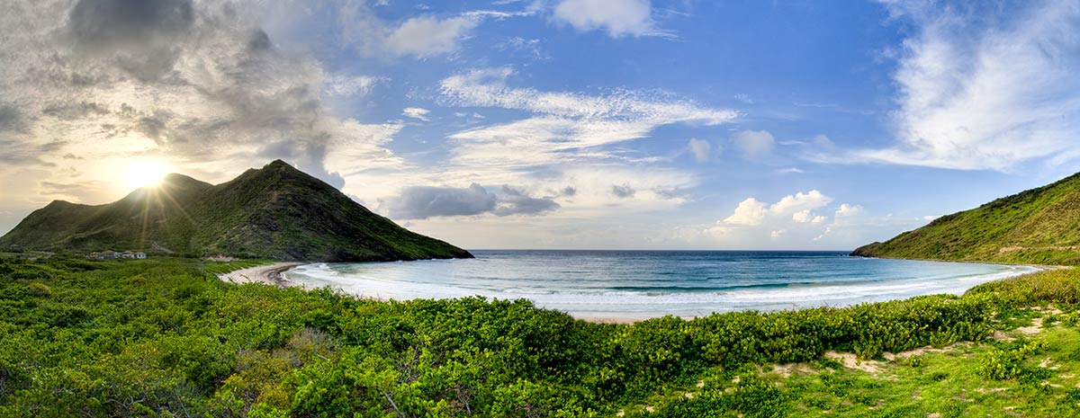 Privacy Policy header